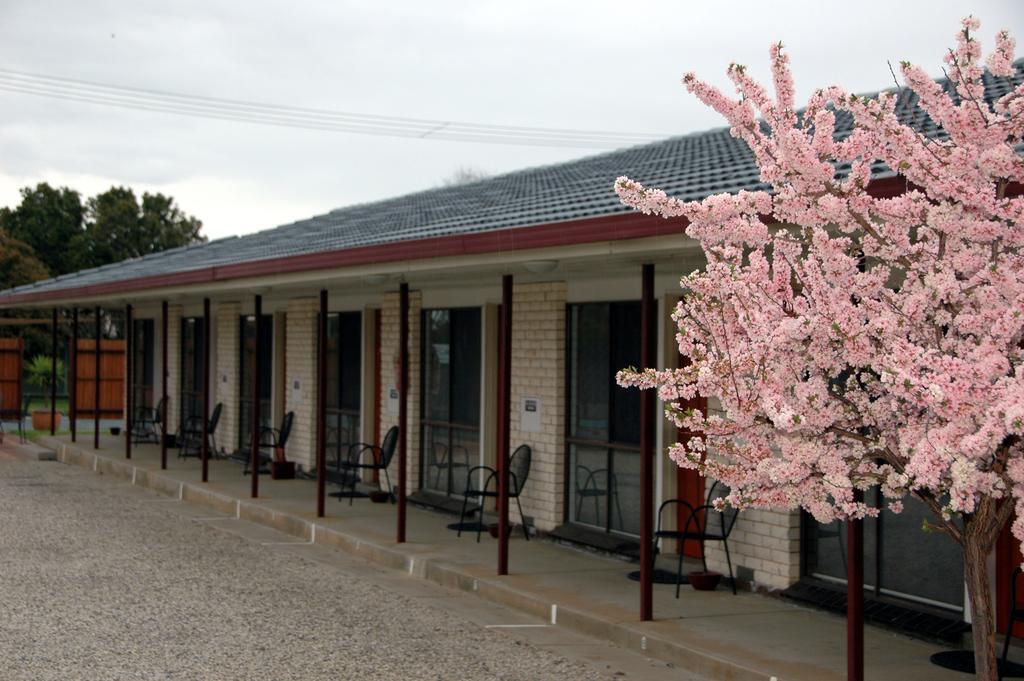 רותרגלן Motel Woongarra מראה חיצוני תמונה